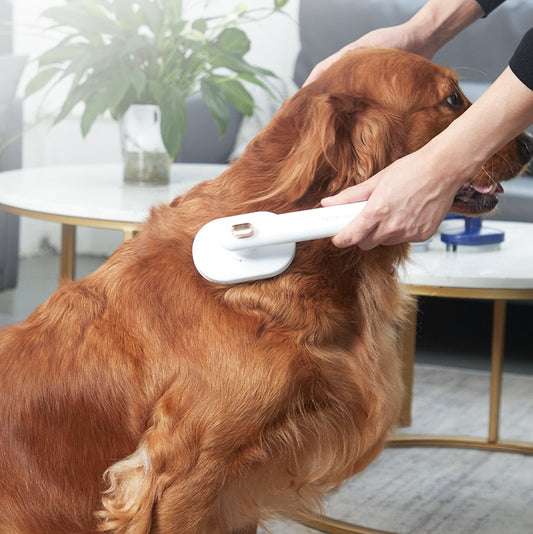 Pet Comb Cat Dog To Remove Floating Hair